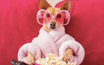 Algunas películas para ver durante la cuarentena